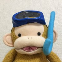 るりかけす(@226insertG4) 's Twitter Profile Photo