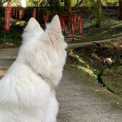 hikaru07241's profile picture. 