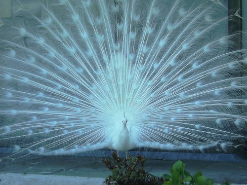 valentines0303's profile picture. 