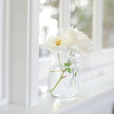 i_arwaalamer's profile picture. 