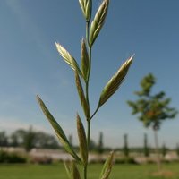 Wide hybridization group (@widehybridizat1) 's Twitter Profile Photo Wide hybridization group (@widehybridizat1) 's Twitter Profile Photo