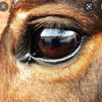BJvid (@bj45678) 's Twitter Profile Photo BJvid (@bj45678) 's Twitter Profile Photo