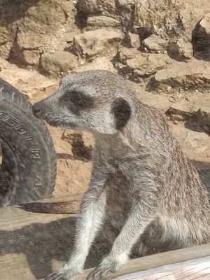 Varney87167769's profile picture. Don't let life pass you by.