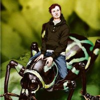 Alessandro Parisotto (@bionicphotons) 's Twitter Profile
