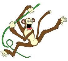 Hola_Mono's profile picture. 