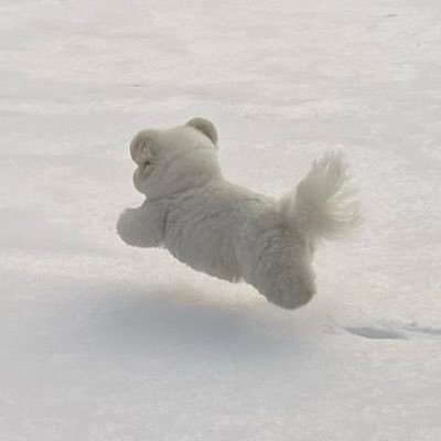 secondzero22's profile picture. 이스일상