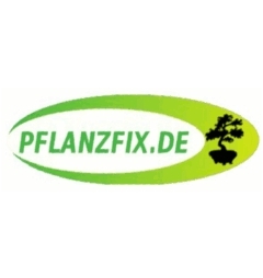 Pflanzfix.de ist ein Pflanzenversand und vertreibt Samen, Jungpflanzen und Rohmaterial zur Bonsaigestaltung zu günstigen Preisen.