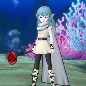 こりさんのプロフィール画像