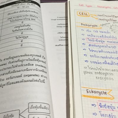 \\ มีชีทสรุปขายด้วยงับ ig: googmath_ แจกความรู้เรื่อยๆ ติดตามกันไว้เล้ยย #dek65 #dek66 #dek67
