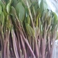 كاتم الاسرار (@katmala21001510) 's Twitter Profile