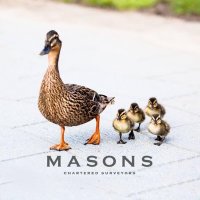 Move with Masons(@MoveWithMasons) 's Twitter Profile Photo