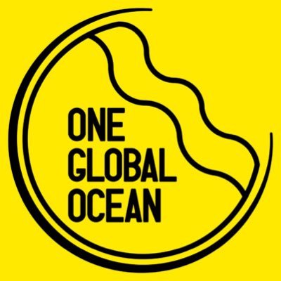 Dedicated to the protection and restoration of our oceans on a local and global scale. The Goal - Remove 33,000kg of Ocean Plastic