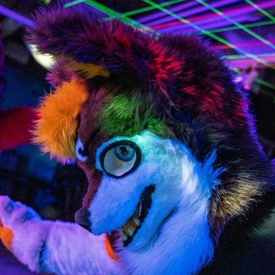 Wolfy_PLさんのプロフィール画像