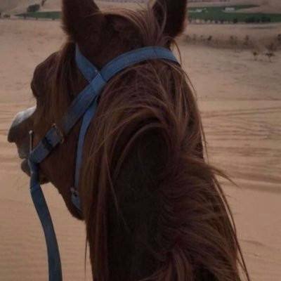 اللهُم برّد على قبور من ينتظرون منا الدُعاء .