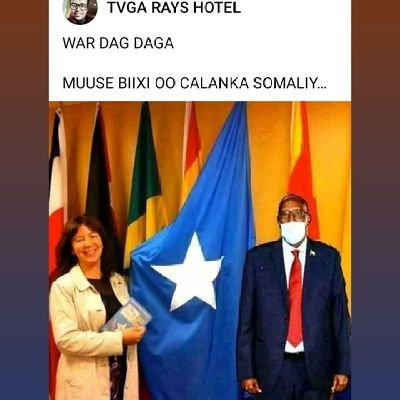 halacahmed1's profile picture. 