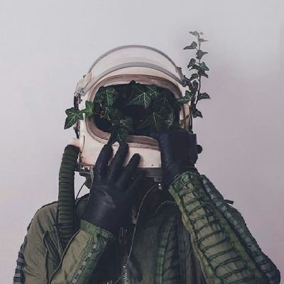 Wtf_1213's profile picture. 