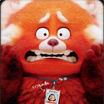 0419DaikiY's profile picture. 常翔学園→神戸大学法法新入生 野球 阪神