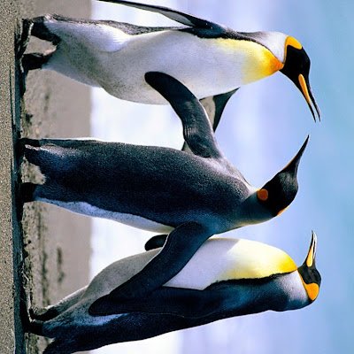 PaulMuna16's profile picture. #BTC🚀
#cryptolover