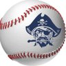 bayportbaseball's profile picture. Division 1 State Champs 2009 2010 Howard-Suamico School District FRCC