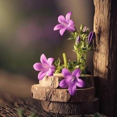 لاتقل هذه أثقل أيامي هماً .. بل قل هذي أعظم أيامي أجراً ،، فما الجَبر إلا على قدر الوجيعة والثقل ،، ذكّر نفسك بالأجر .. فيهون الكَسر .