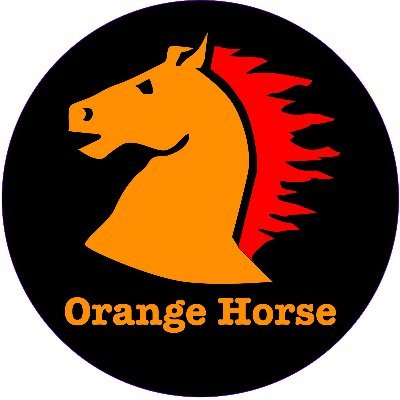 OrangeHorseTeam Profile Picture