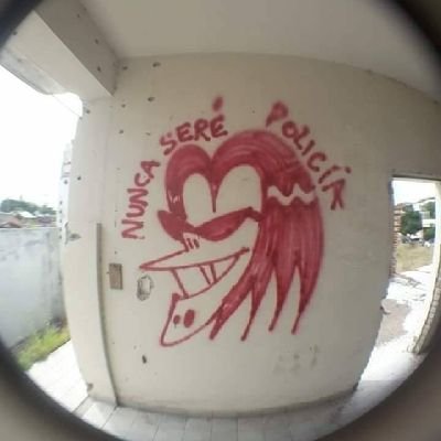 rotoinmundo's profile picture.