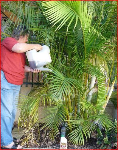 Court1963's profile picture. 