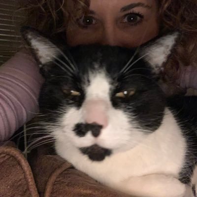 XtinaCe's profile picture. VP Ops