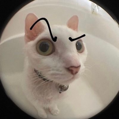 grillo_2_'s profile picture. 