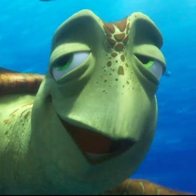 TurtleTrader2's profile picture. Learning Slowly