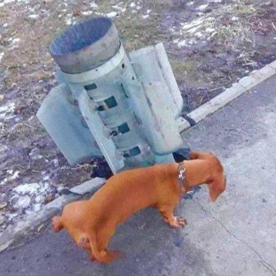 DDimonquad's profile picture. https://t.co/ftIkrFSfaz…

Сало сила - "зрадофілам" могила.