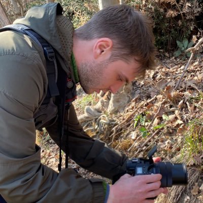 GregnaninLuca's profile picture. PhD student in Ecology, Evolution and Conservation at @DiBio_UniPD. Interested in arthropod diversity in the Alps (butterflies and centipedes).
