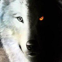 Barrett50 (@barrett50gwm) 's Twitter Profile