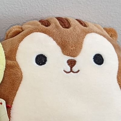 AstronomerZimm's profile picture. Telescope guy 🟦🇺🇦🇺🇸