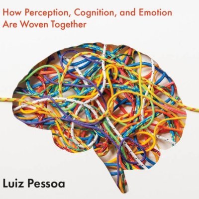 Neuroscientist interested in cognitive-emotional brain
Author of The Entangled Brain (MIT Press); The Cogitive-Emotional Brain
Neuroscience & Philosophy Salon