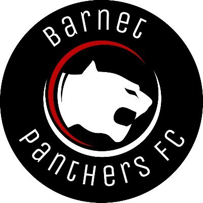 Barnet Panthers are a girls football team based in North London  - creating a safe and fun environment for girls to play, develop and enjoy football