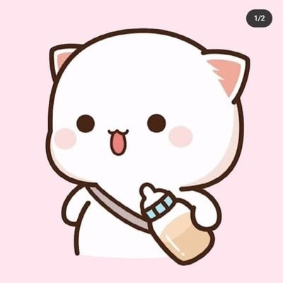 şapşikofさんのプロフィール画像