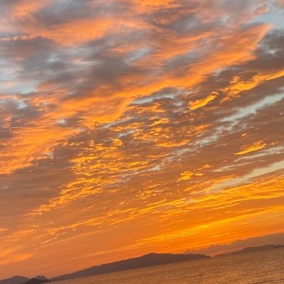 kai80654641's profile picture. 