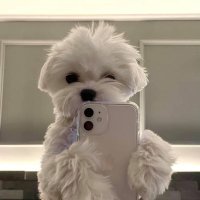 k (@_xly1ny) 's Twitter Profile