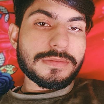 ChauhanDpg's profile picture. Dog chauhan