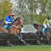 Edgcote Races (Bicester Point to Point)(@bicesterp2p) 's Twitter Profileg