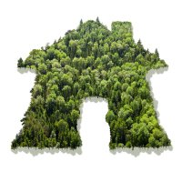 It Takes A Forest (@ittakesaforest) 's Twitter Profile Photo It Takes A Forest (@ittakesaforest) 's Twitter Profile Photo