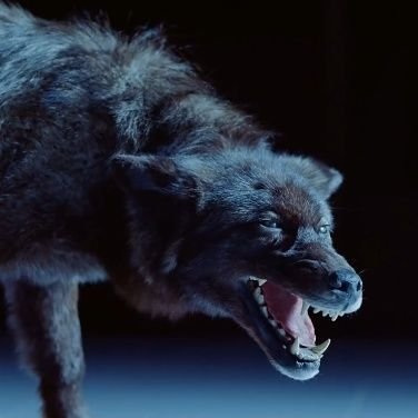 L0NE_W0LF_XIX's profile picture. ⱠØ₦Ɇ ₩ØⱠ₣ 🐺👽
Founder @ndototech