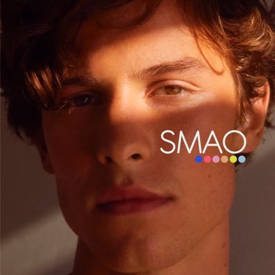 ShawnMendessArg Profile Picture