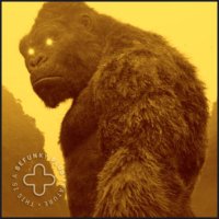 APES MAKE CHANGES(@APESMAKECHANGES) 's Twitter Profile Photo