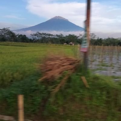 Mtarmin's profile picture. Reseler Essenso . herbalis alami utk kesehatan dan kebugaran