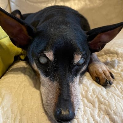 92AUWfAnOvCbCsy's profile picture. 