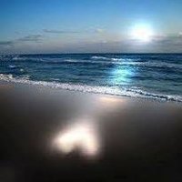 Il_Nordico (@il_nordico) 's Twitter Profile Photo