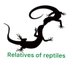冷凍ラット専門姫路店 Relatives of reptiles(レラレプ) (@relativesr) Twitter profile photo 冷凍ラット専門姫路店 Relatives of reptiles(レラレプ) (@relativesr) Twitter profile photo