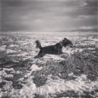 LostObjects (@objectslost) 's Twitter Profile